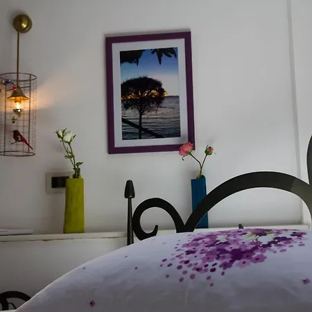 Mandarina Apartment *